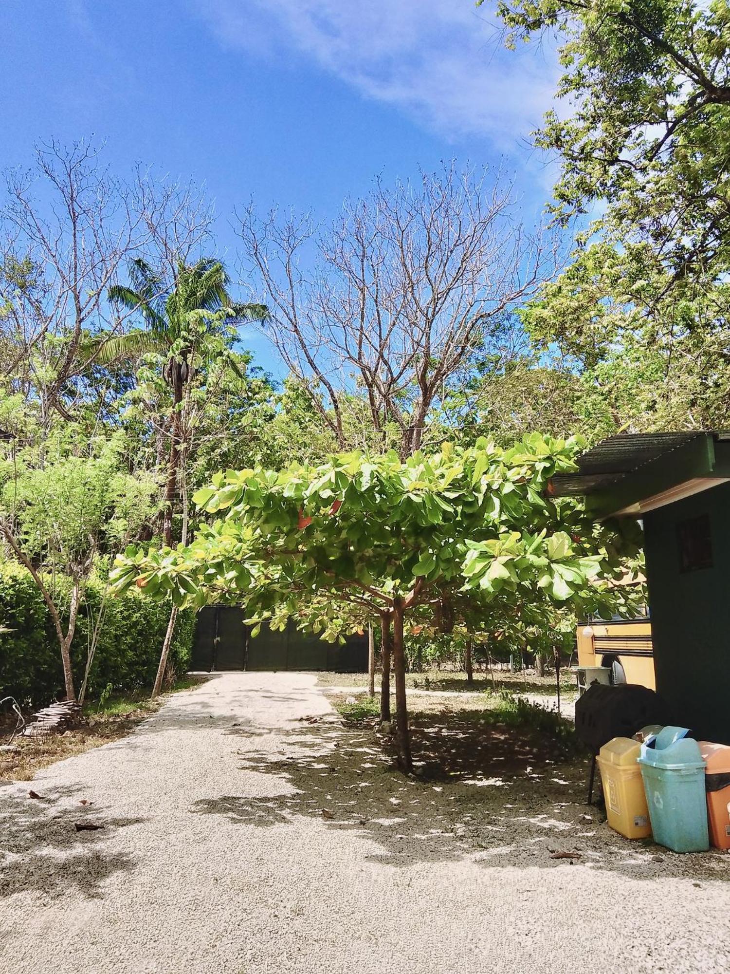 Nanku Nimbu Casa-Bus Equipada Cerca De Playas Apartamento Sámara Exterior foto